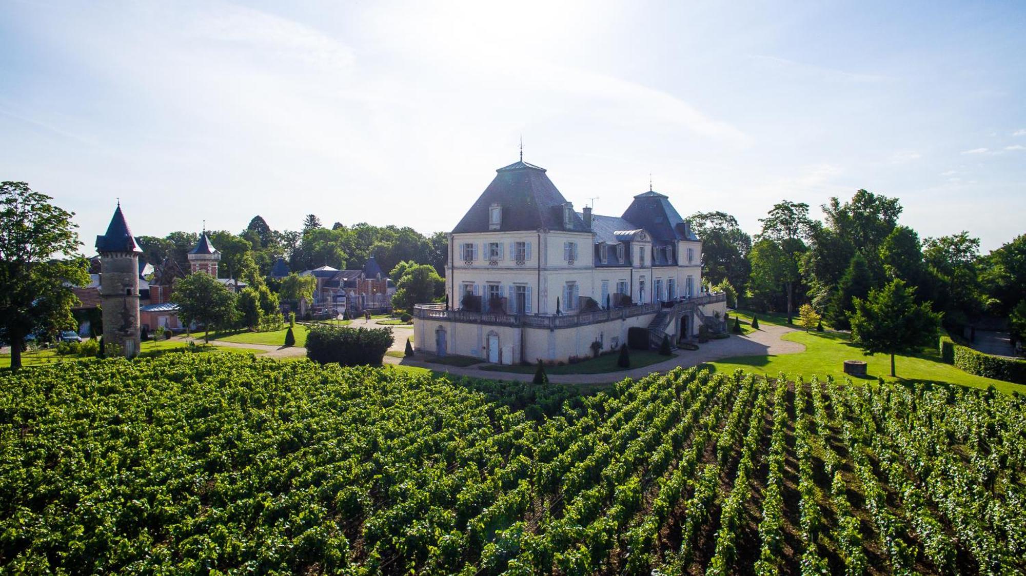 Chateau & Spa De La Cueillette Meursault Exterior photo
